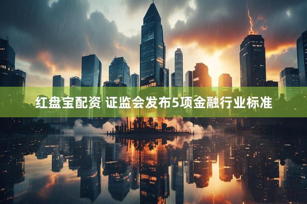 红盘宝配资 证监会发布5项金融行业标准