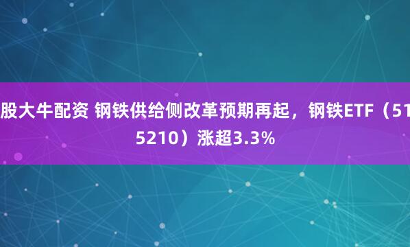股大牛配资 钢铁供给侧改革预期再起，钢铁ETF（515210）涨超3.3%