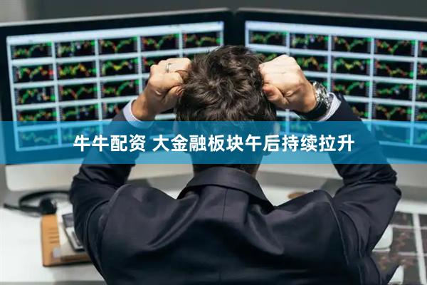 牛牛配资 大金融板块午后持续拉升