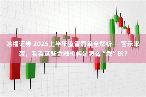 哈福证券 2025上半年监管罚单全解析——警示来袭，看看这些金融机构是怎么“栽”的？