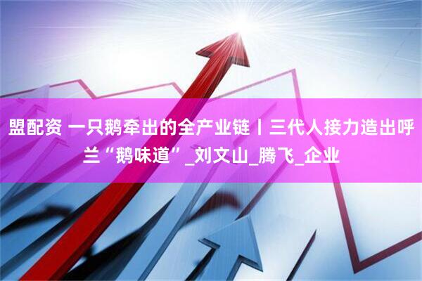 盟配资 一只鹅牵出的全产业链丨三代人接力造出呼兰“鹅味道”_刘文山_腾飞_企业
