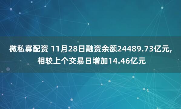 七星策略平台 11月28日融资余额24489.73亿元, 相较上个交易日增加14.46亿元