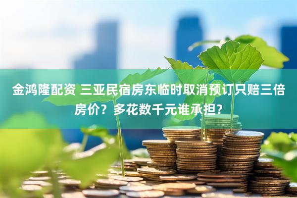 金鸿隆配资 三亚民宿房东临时取消预订只赔三倍房价？多花数千元谁承担？