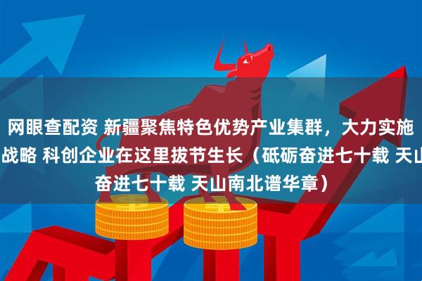 网眼查配资 新疆聚焦特色优势产业集群，大力实施创新驱动发展战略 科创企业在这里拔节生长（砥砺奋进七十载 天山南北谱华章）